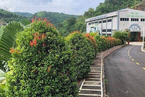 Thủy điện Đồng Nai nỗ lực tạo dựng môi trường làm việc 'Xanh -Sạch - Đẹp - An toàn'