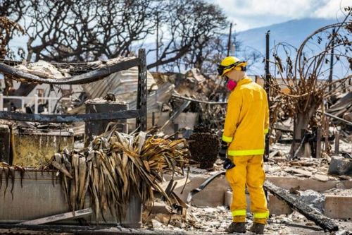 Động thái muộn màng của quan chức Hawaii hậu thảm họa cháy rừng