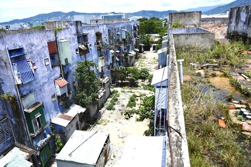 Gần 300 hộ dân sống bất an trong chung cư xuống cấp, lúc nhúc chuột: Sở Xây dựng Đà Nẵng nói gì?