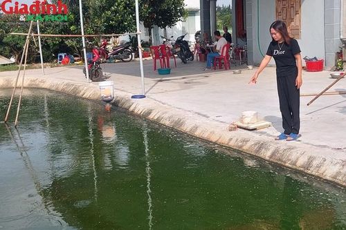Ông ngoại cứu cháu gặp nạn dưới ao: Buổi chiều định mệnh và nỗi ám ảnh của chủ đầm
