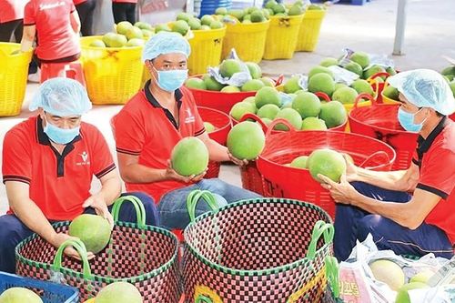 Đừng 'tự bắn vào chân mình'