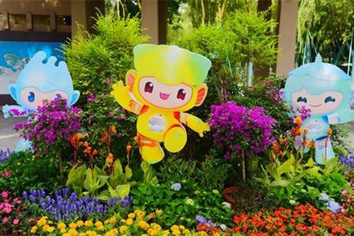 Hai nội dung thi đấu tại Asian Games bị hủy bỏ