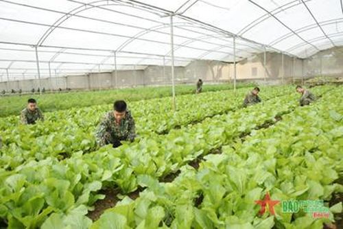 Chương trình phối hợp giữa Bộ Quốc phòng với Bộ Nông nghiệp và Phát triển nông thôn: Chung sức khai thác những tiềm năng, lợi thế