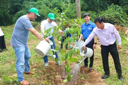 Chương trình 'Triệu cây xanh - Vì một Việt Nam xanh' khởi động tại tỉnh Bình Thuận