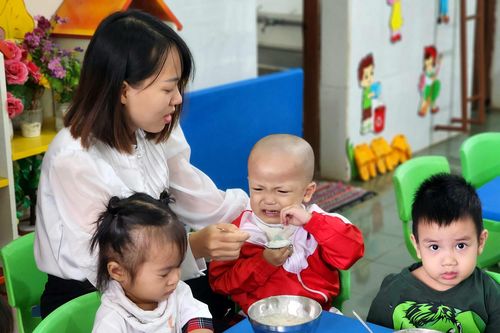Tỉnh Đắk Lắk chỉ đạo rà soát, tuyển dụng đặc cách cho giáo viên
