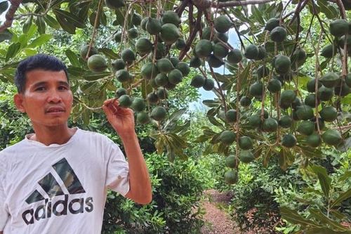 Gia Lai: 'Nữ hoàng quả khô' bén đất Kbang giúp nông dân vùng khó làm giàu
