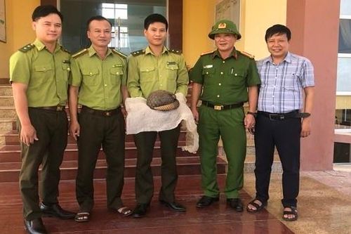 Người giao hàng nộp con tê tê Java trong Sách đỏ cho công an