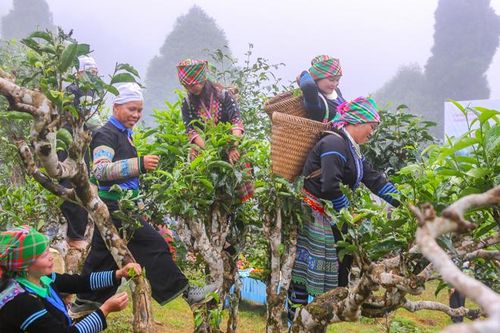 Yên Bái: Văn Chấn khai thác tiềm năng phát triển du lịch