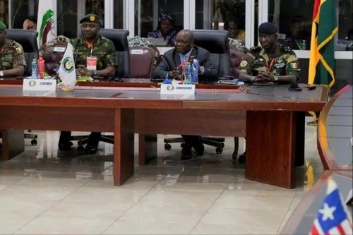 Niger: Lực lượng quân sự Tây Phi 'sẵn sàng lên đường'