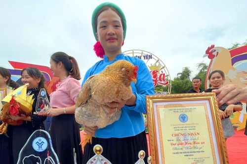 Độc đáo cuộc thi hoa hậu gà