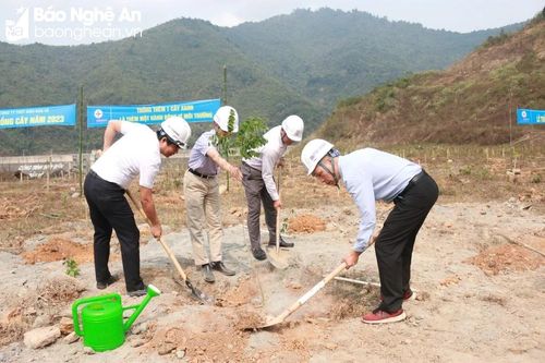 Công ty Thủy điện Bản Vẽ hướng tới môi trường làm việc 'Xanh - sạch - đẹp - an toàn'