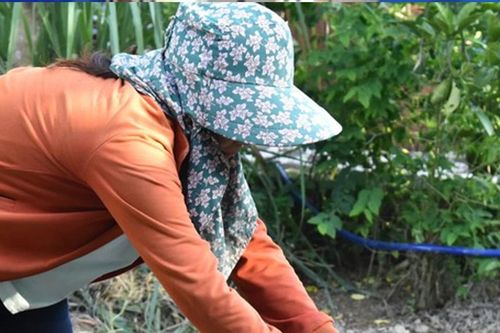 'Hô biến' phụ phẩm nông nghiệp thành chất cải tạo đất