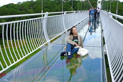 Lâm Đồng: Cầu kính Ngàn Thông ở Đà Lạt mở cửa đón khách
