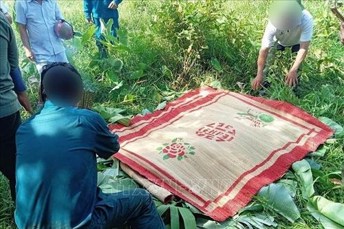 Tìm thấy thi thể người phụ nữ nghi nhảy cầu trên sông Dinh