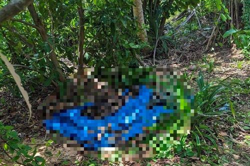 Bình Thuận: Phát hiện thi thể người trong rẫy hoang trên đảo Phú Quý