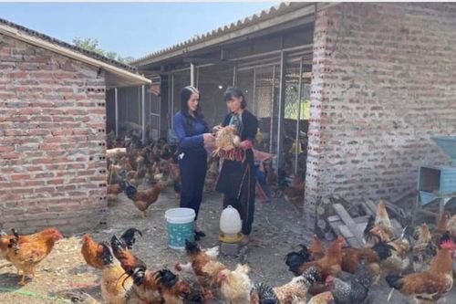 Hội LHPN tỉnh Quảng Ninh: Nhiều chính sách hiệu quả, hỗ trợ phụ nữ nghèo vươn lên