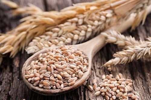Việt Nam nhập khẩu lúa mì nhiều nhất từ thị trường nào?