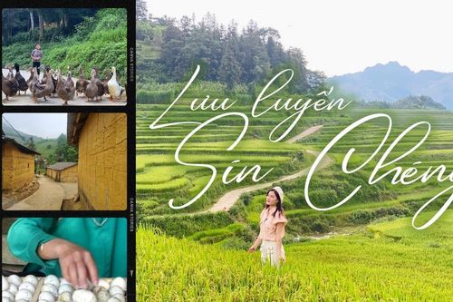 Lưu luyến Sín Chéng