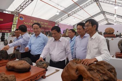 Bình Định: Khai mạc Triển lãm và Hội thi sinh vật cảnh khu vực miền Trung – Tây Nguyên mở rộng năm 2023