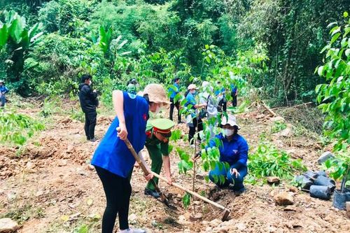 Chương trình 'Triệu Cây Xanh- Vì một Việt Nam xanh' năm 2023 được khỏi động tại Bình Thuận