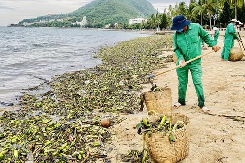 TP. Vũng Tàu thực hiện nhiều biện pháp ngăn ngừa, giảm thiểu rác thải đại dương