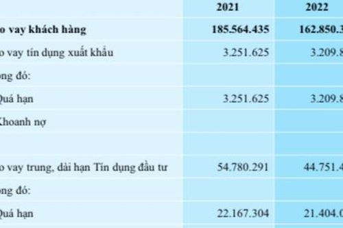Vì sao VDB chưa thể sử dụng hơn 7.000 tỷ đồng dự phòng rủi ro để xử lý nợ xấu?