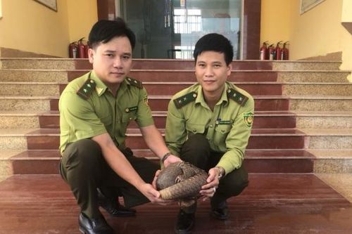 Bất ngờ nhận được thùng hàng có chứa động vật quý hiếm