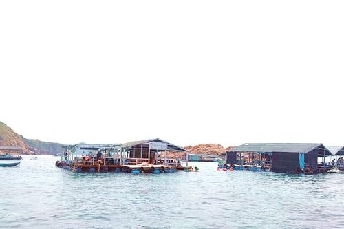 Tháo gỡ khó khăn cho hoạt động kinh doanh nhà hàng, bè nổi
