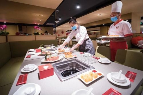 Cử nhân bằng giỏi xin làm bưng bê, bị từ chối phũ phàng