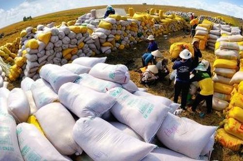 Tiêu điểm: Nắm bắt thời cơ xuất khẩu gạo nhưng phải đảm bảo an ninh lương thực và phát triển bền vững