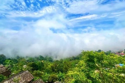 Tỉnh Yên Bái lần đầu tiên tổ chức Lễ hội Trà Shan tuyết 'Tinh hoa giữa ngàn mây'