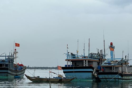 Quảng Nam hỗ trợ ngư dân vươn khơi bám biển, ổn định cuộc sống