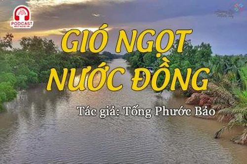 Đọc truyện đêm khuya: Gió ngọt nước đồng