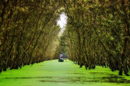 Những điểm đến làm say lòng người ở An Giang