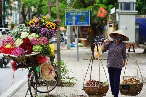 Thơ: Phố nhà em