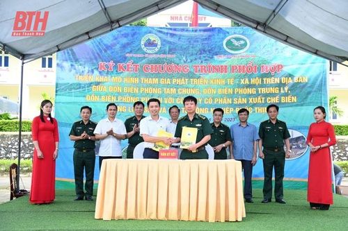 Cộng đồng trách nhiệm đưa cây sắn năng suất cao lên huyện vùng biên Mường Lát