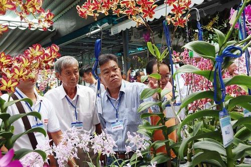 'Vì hoa, nên phải đánh đường tìm hoa'