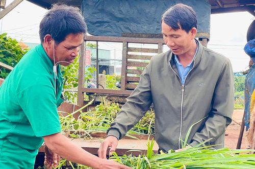 'Đảng viên đi trước...'
