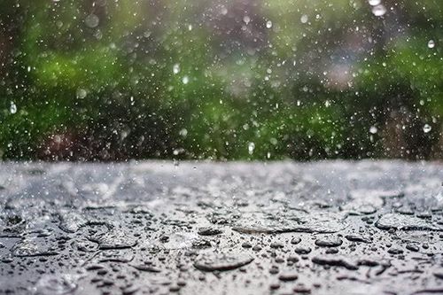 Các khu vực trong tỉnh tiếp tục có mưa lớn