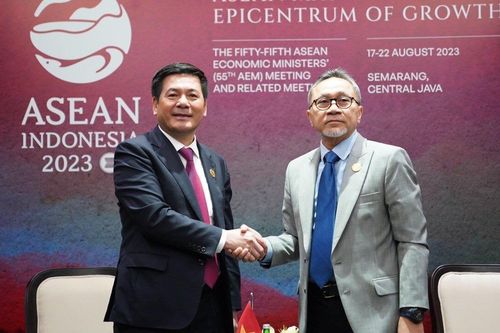 Sớm nối lại các cơ chế hợp tác, diễn đàn thường niên giữa Việt Nam - Indonesia