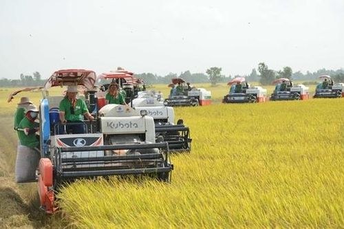 Thành lập 2 Hội đồng điều phối vùng