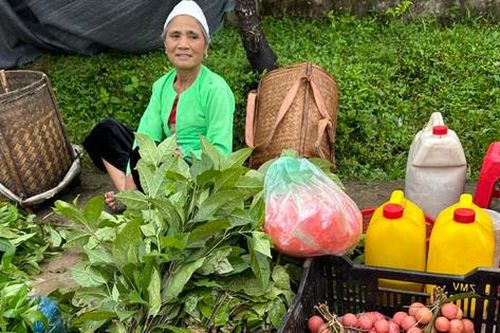 Lũng Vân – chợ phiên vui xứ Mường