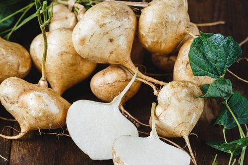Củ đậu có tác dụng gì?