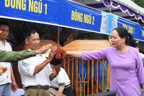 Độc đáo thi Vua gà, Hoa hậu gà ở Quảng Ninh