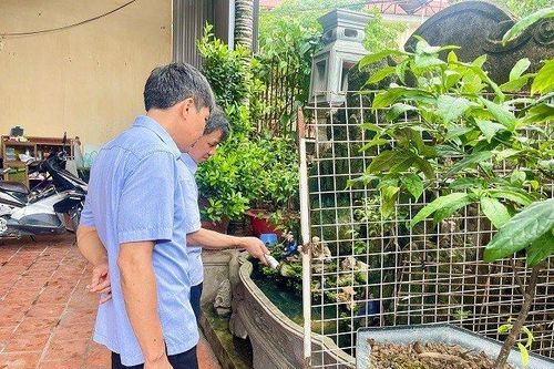 Một tuần, Hà Nội tăng gần 1.000 ca sốt xuất huyết và 71 ổ dịch mới