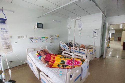 Kiên Giang: 3 ngư dân thương vong vì ăn cá nóc