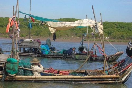 Nghề săn vẹm ở lạch Vạn