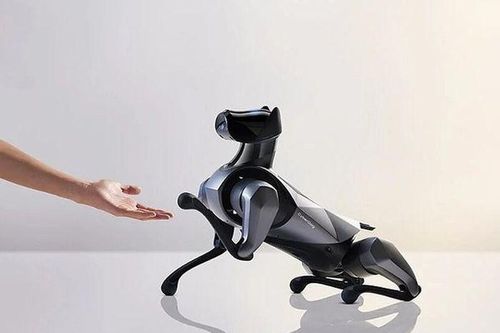 Xiaomi ra mắt chó robot mới sống động như thật