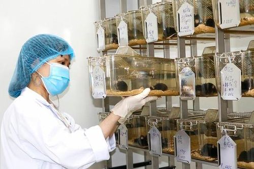 Những 'bóng hồng' đam mê sáng tạo