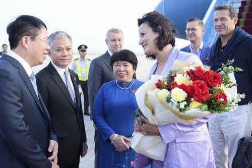 Chủ tịch Thượng viện Bỉ đến Hà Nội, bắt đầu chuyến thăm chính thức Việt Nam